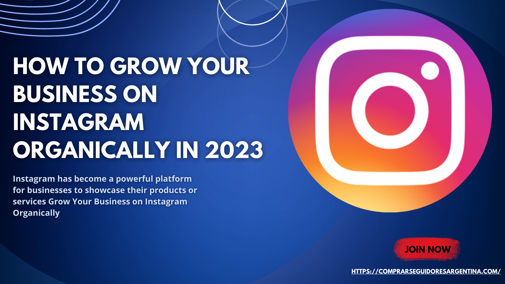 Grow Your Business on Instagram Organically
