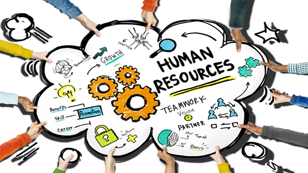 What is the importance of training for HR professionals?