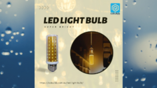 Budget-Friendly Illumination: Affordable LED Lights and Bulbs for August