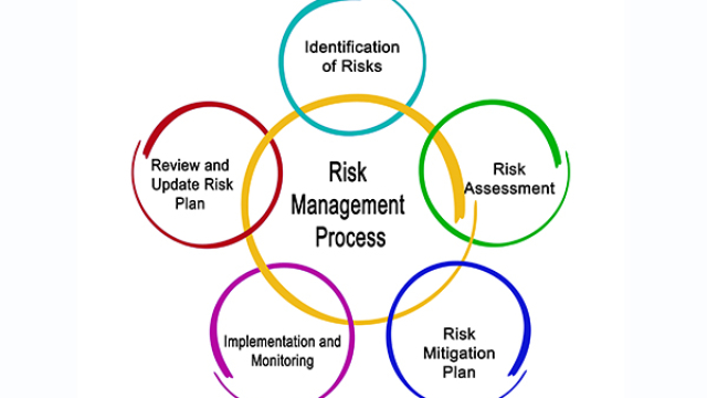 Business Risk Management Strategies: Safeguarding Your Success