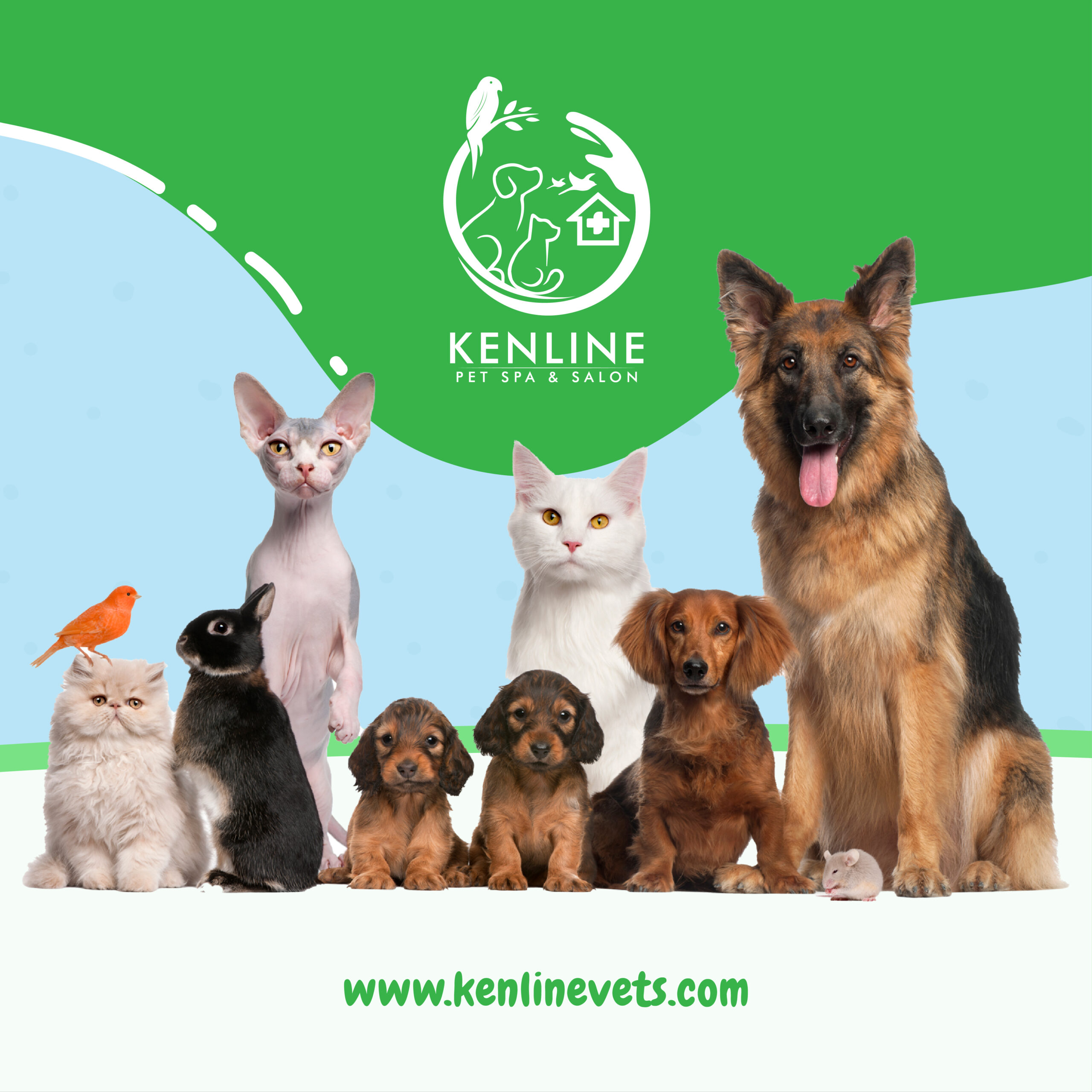 Kenline Pet Spa & Salon