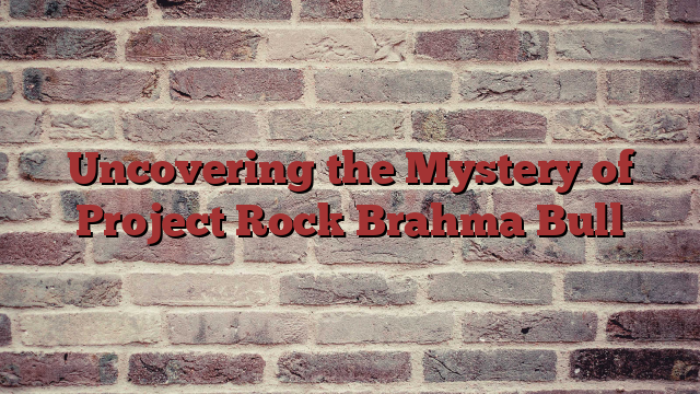 Uncovering the Mystery of Project Rock Brahma Bull