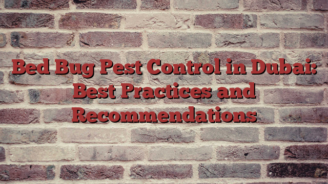Bed Bug Pest Control in Dubai: Best Practices and Recommendations