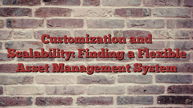 Customization and Scalability: Finding a Flexible Asset Management System