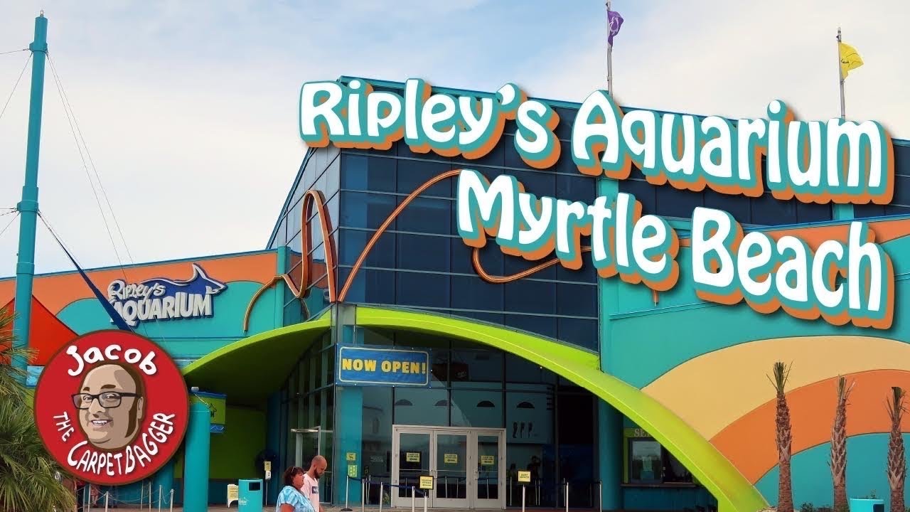 Navigating Ripley's Aquarium Ticket Prices: Online Tickets, Family Passes.