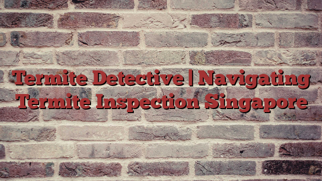 Termite Detective | Navigating Termite Inspection Singapore