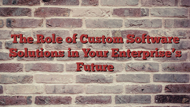 The Role of Custom Software Solutions in Your Enterprise’s Future