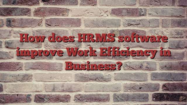 How does HRMS software improve Work Efficiency in Business?