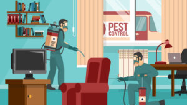 Farewell to Roach Woes: Mastering Control Treatments for a Pest-Free Environment