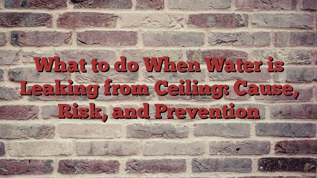 What to do When Water is Leaking from Ceiling: Cause, Risk, and Prevention