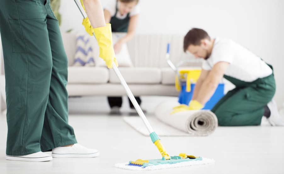 Spotless Wonders: Your Guide to Same-Day Carpet Cleaning Services