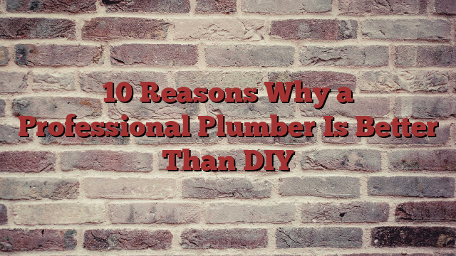 10 Reasons Why a Professional Plumber Is Better Than DIY