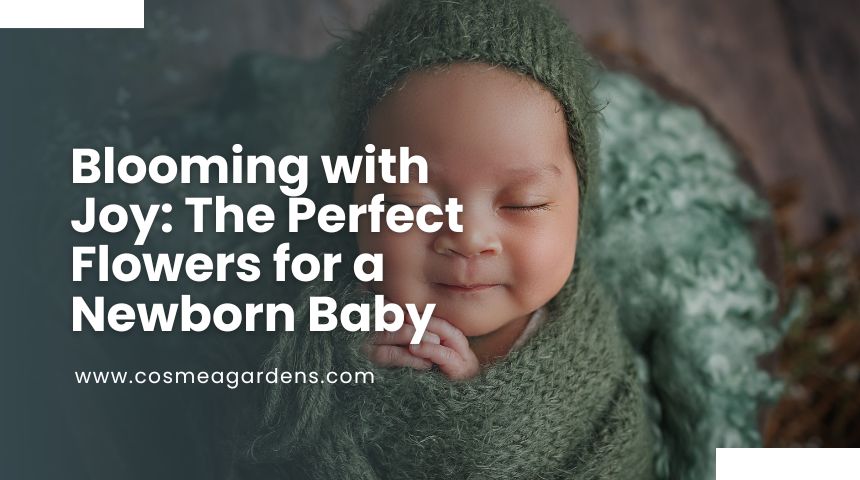 Blooming with Joy: The Perfect Flowers for a Newborn Baby