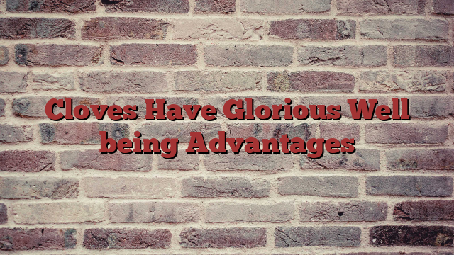 Cloves Have Glorious Well being Advantages
