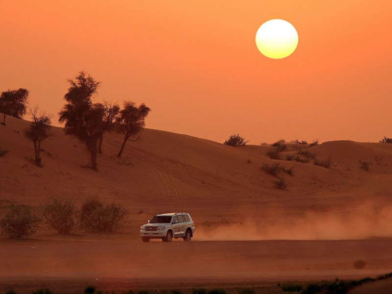 Experience the Magic of an Evening Desert Safari