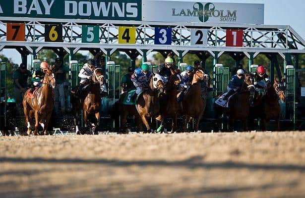 The Artistry and Drama of Horse Racing: A Symphony of Speed and Elegance