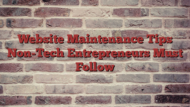 Website Maintenance Tips Non-Tech Entrepreneurs Must Follow
