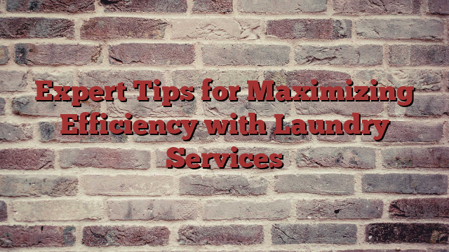 Expert Tips for Maximizing Efficiency with Laundry Services