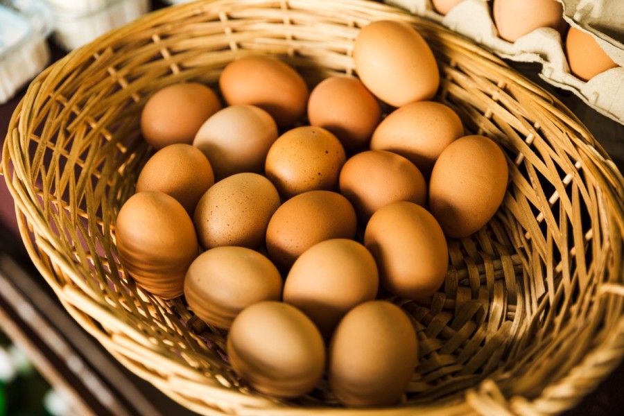 Top 7 Egg Providers in Singapore for Fresh and Quality Eggs
