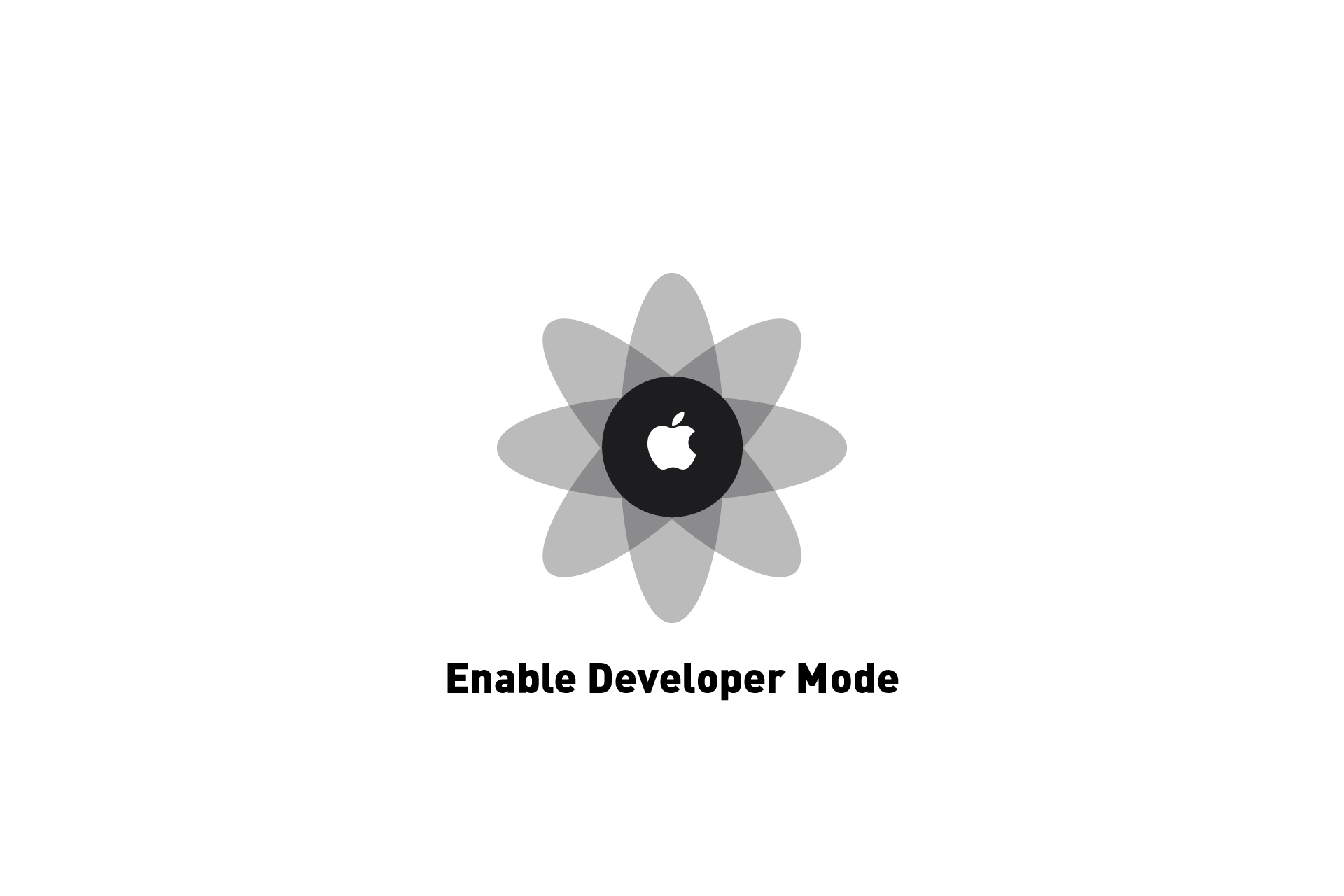 Developer Mode on iPhone