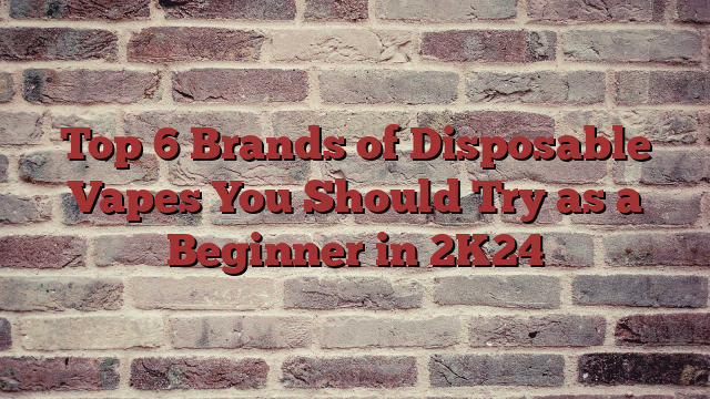 Top 6 Brands of Disposable Vapes You Should Try as a Beginner in 2K24