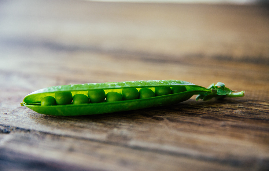 Sugar Snap Peas Have Helpful Results On Health