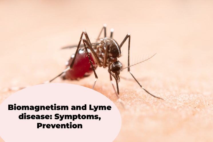 Biomagnetism and Lyme disease: Symptoms, Prevention