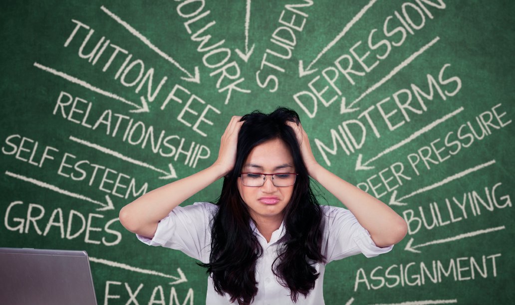 the-role-of-assignment-help-services-in-reducing-academic-stress