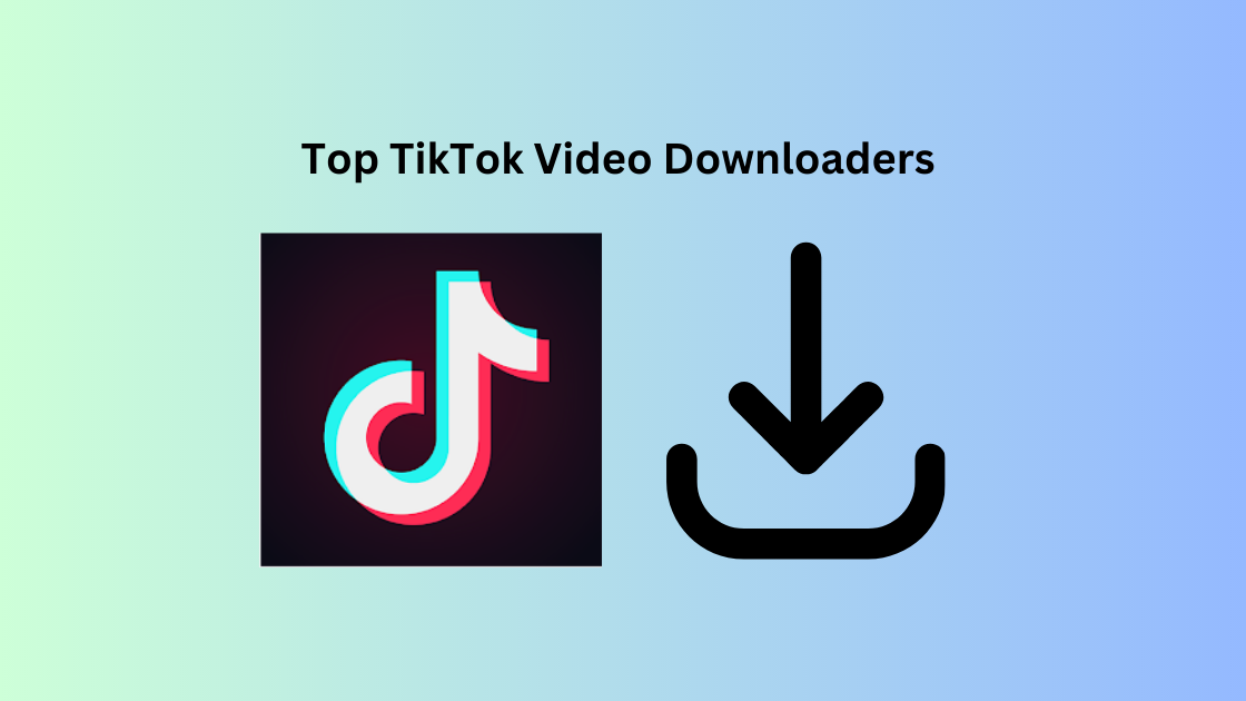 Top TikTok Video Downloaders