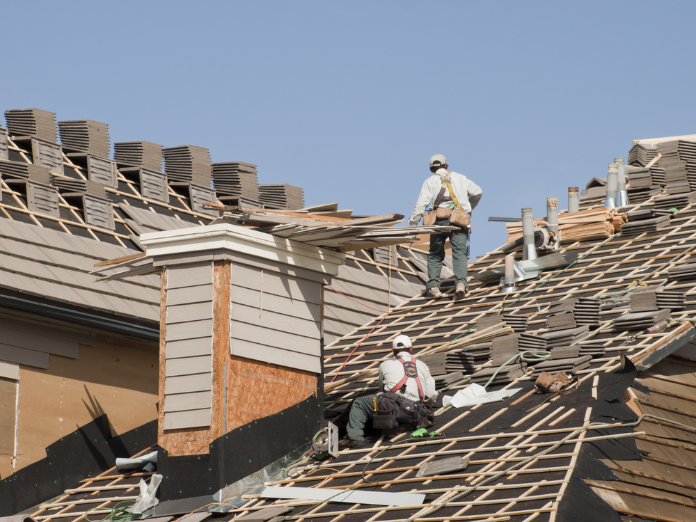 Roof Restoration: Transforming Your Roof for a Fresh New Look