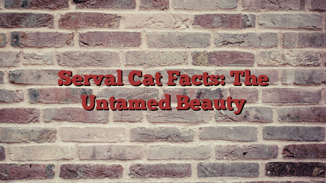 Serval Cat Facts: The Untamed Beauty