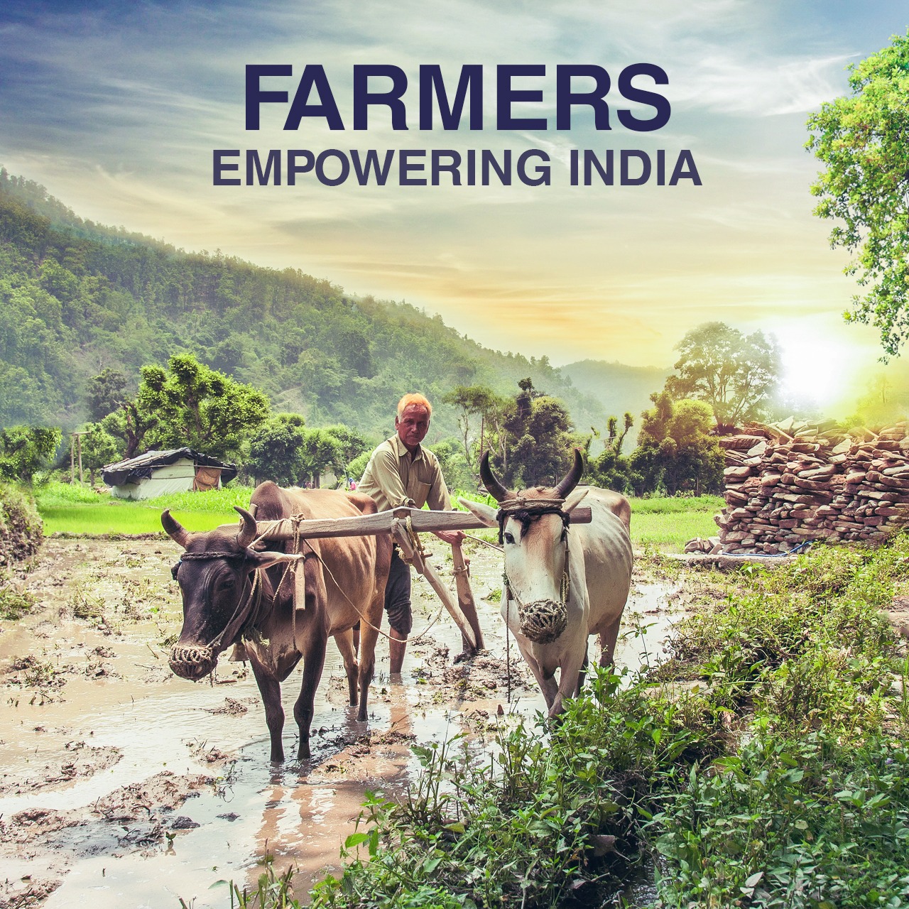 Agricultural Growth: The Backbone of India's Economic Prosperity