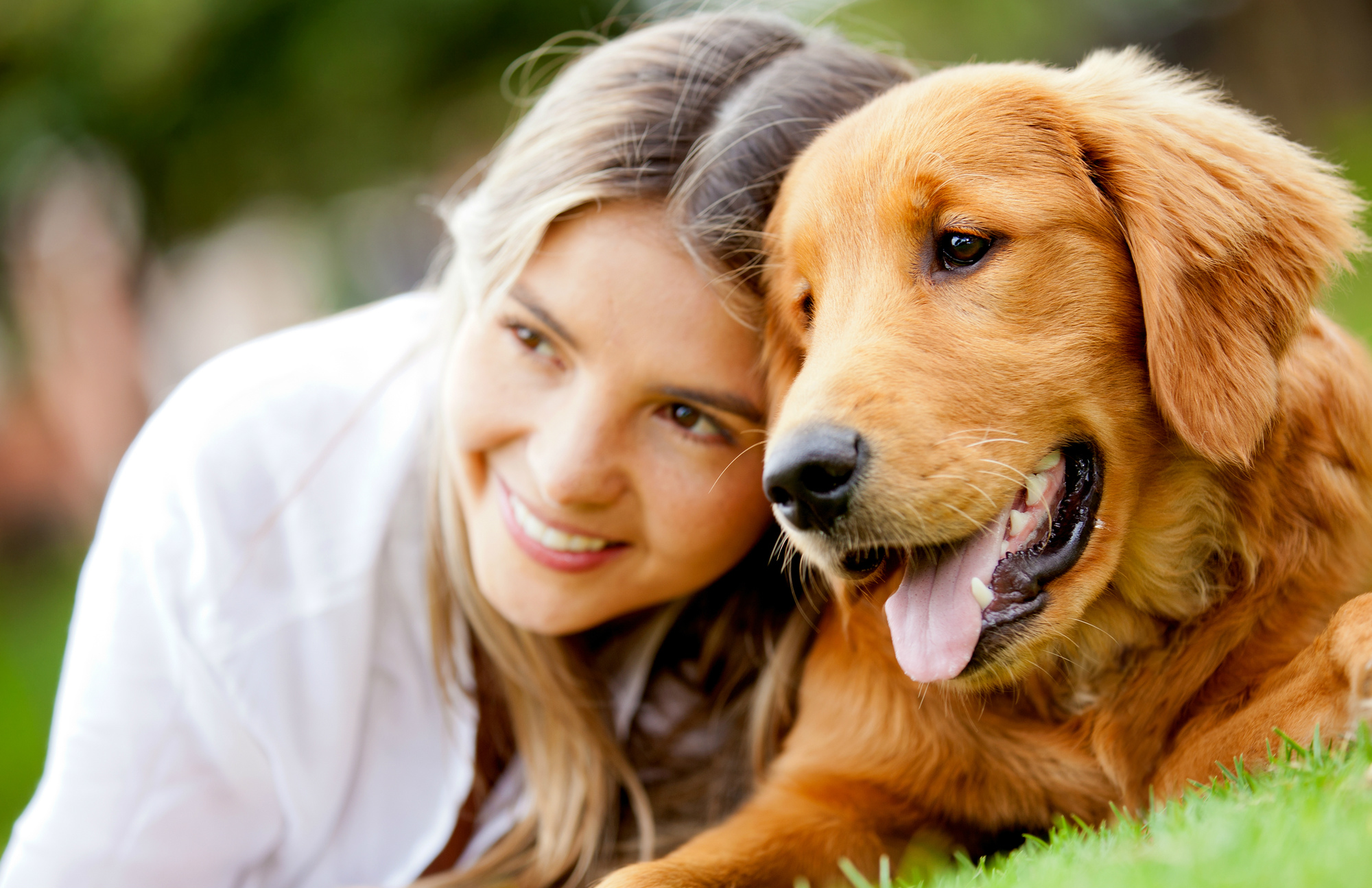 The Ultimate Guide to Dog Care in 2023