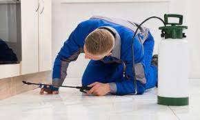 pest Control Services in Lahore