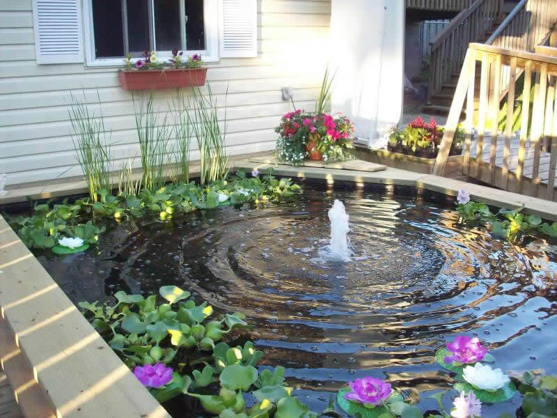 Hire An Experienced Company To Build Beautiful Koi Ponds Above Ground