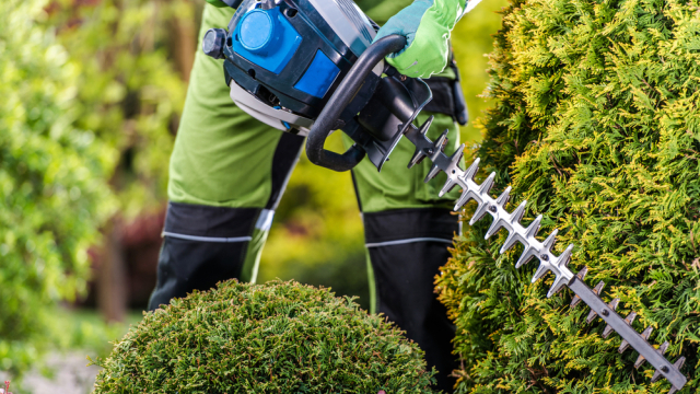 Things To Consider Before Buying A Hedge Trimmer