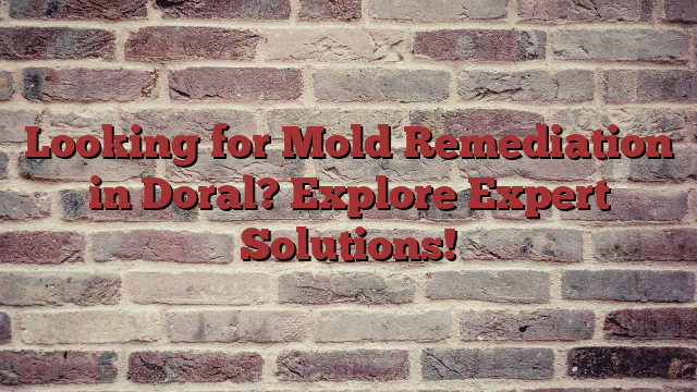 Looking for Mold Remediation in Doral? Explore Expert Solutions!