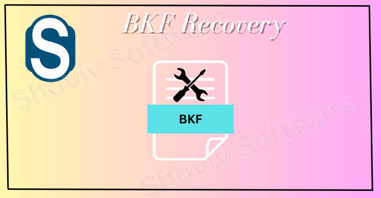 Repair & Recover BKF Files