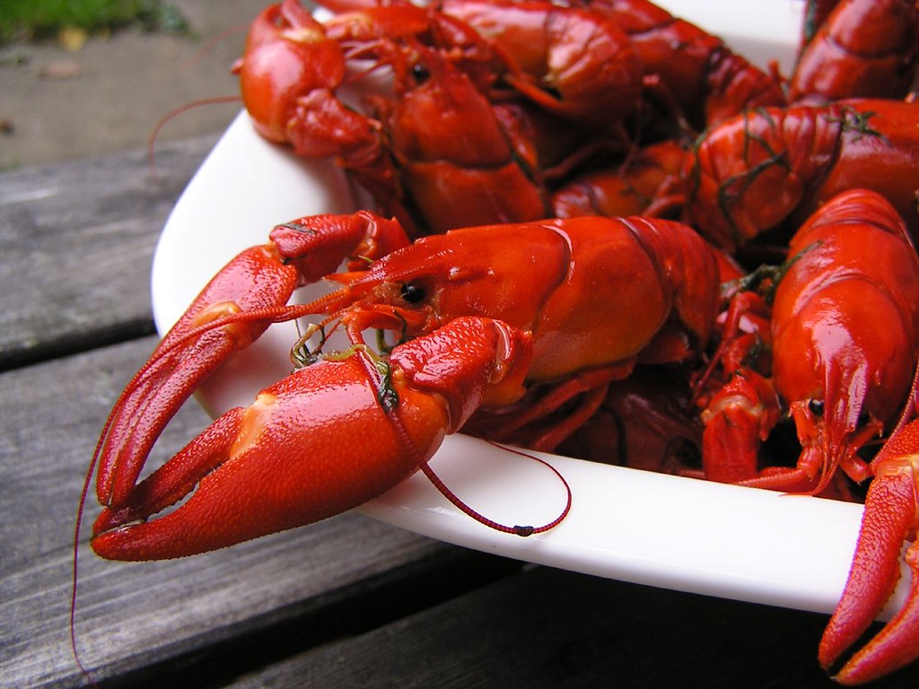 Best Tips To Buy Crayfish Online?