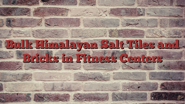 Bulk Himalayan Salt Tiles and Bricks in Fitness Centers