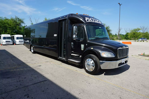 Rolling in Style: Chicago Party Buses and Limo Services for Unforgettable Celebrations