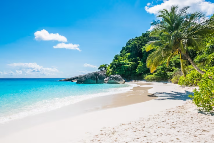 The Allure of Private Beach Escapes: Why a Private Beach Vacation is a Must