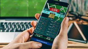 Advantages of Betting on Online Cricket Betting Sites
