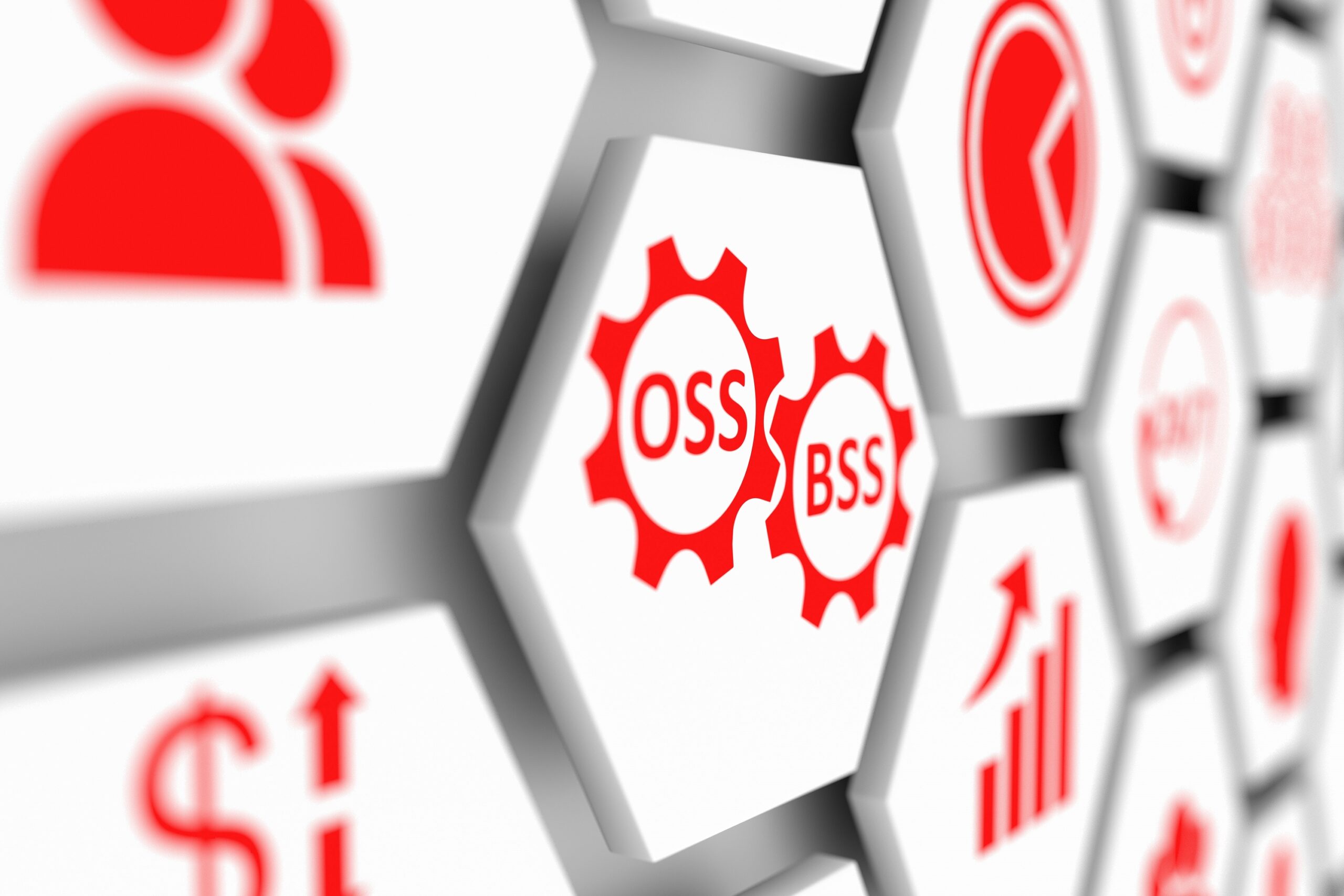 OSS and BSS networks