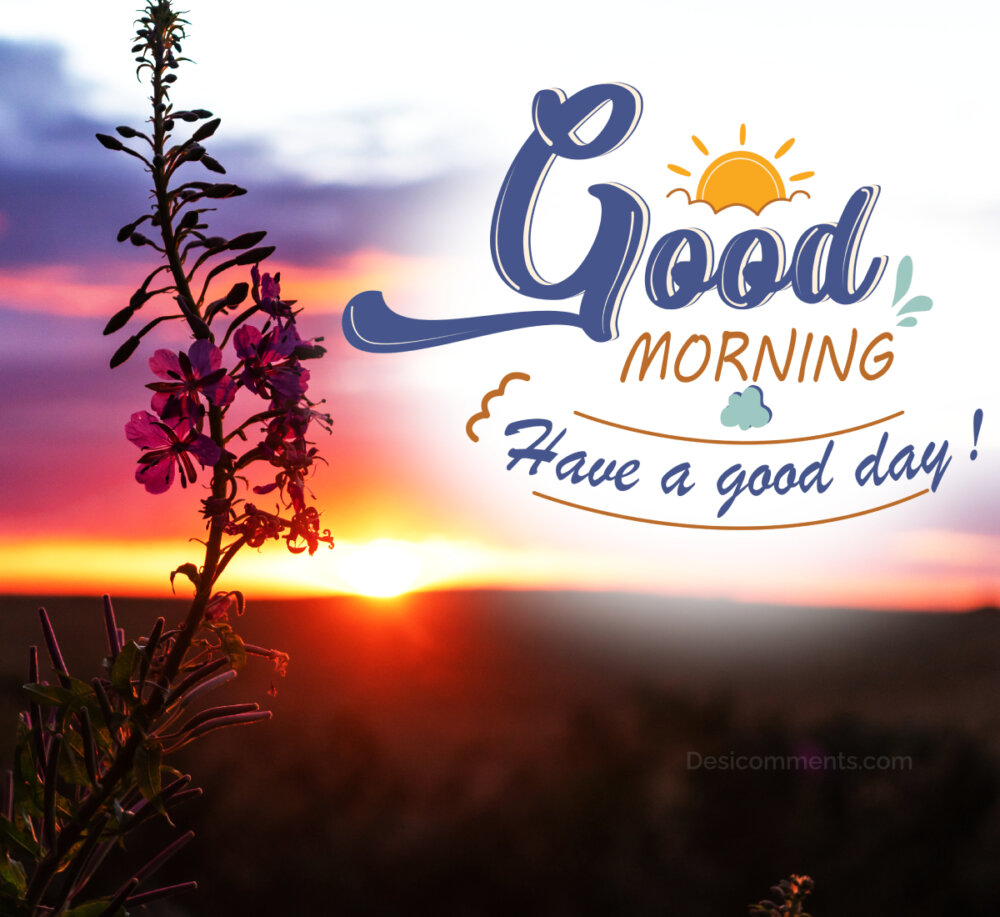 Good Morning Wishes & Images: Top Picks for Social Sharing