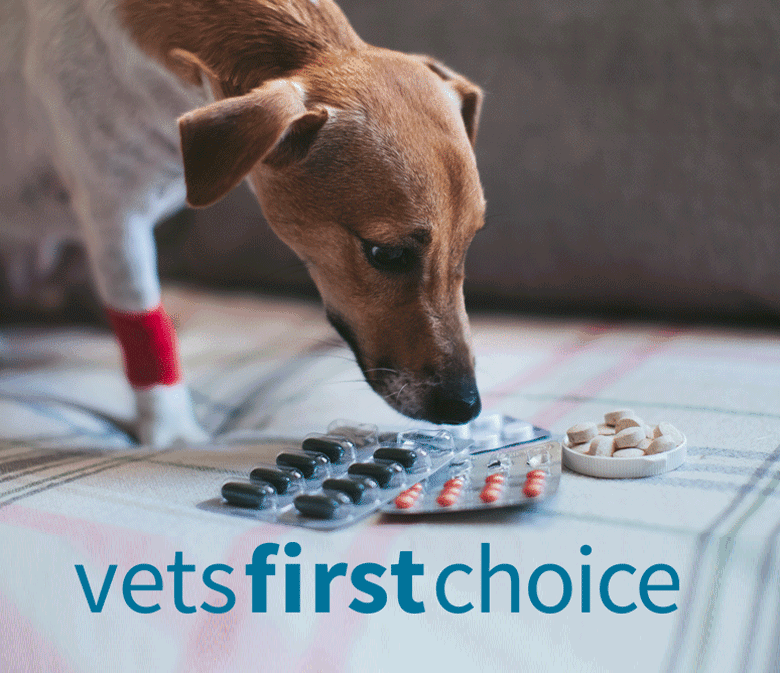 Revolutionize Your Pet’s Care: Discover the Power of Vets First Choice